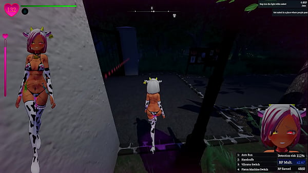Image Secret Flasher Manaka: Central Park Complete