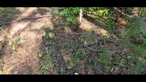 Image My first time in the woods, a stranger fucked all my holes!