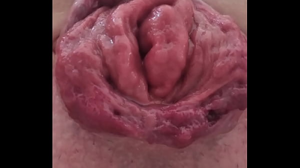 Image Rosebud with selffuck