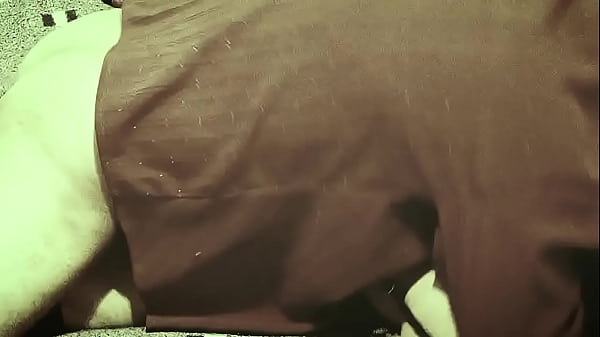 Image Me la tiro y le culeo a esta trava que le gusta la verga dentro de su culo
