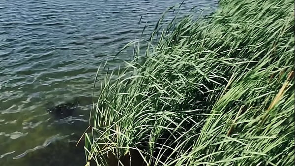 Image Almost Caught at the Lake Fucking for Anyone to Watch
