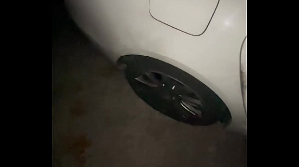 Image Creampie: My step mom young make me a great blowjob in car and after I fuck her in the public place