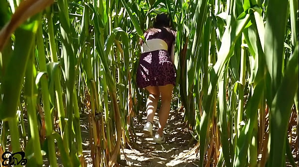 Image Horny BLOWJOB in a corn field