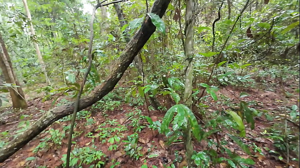 Image Amateur Thai villagers have sex in the forest public 4K 18