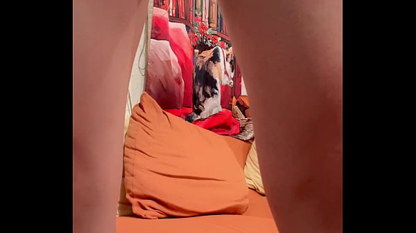 Image Chacal Vergon para Cornudos