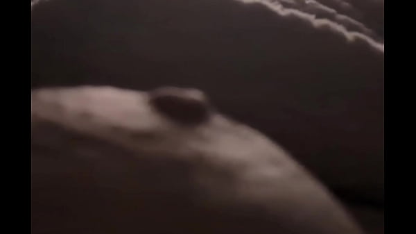 Image close up pinching my left nipple