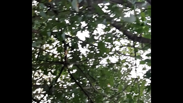 Image We fuck in the woods so no one knows we're lesbians