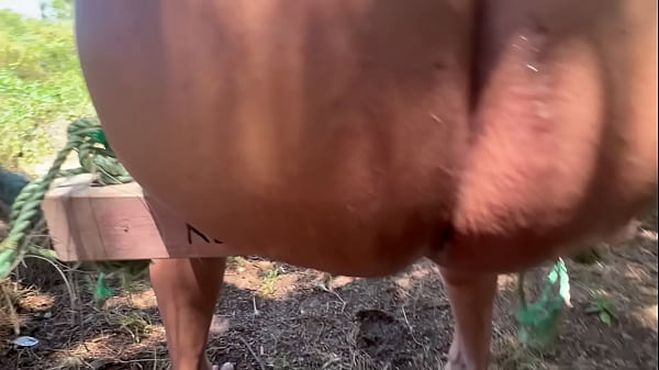 Image FISTING ANAL EM PUBLICO