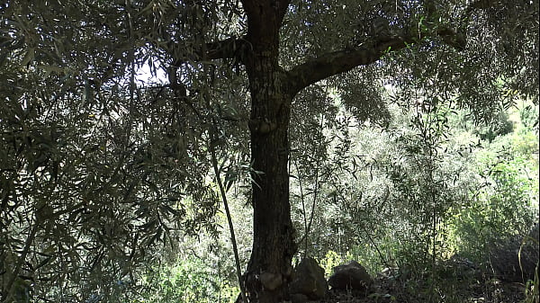 Image hot algerian farmers wife shows her hairy pussy to horny brother-in-law