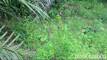 Image African lesbian fingering in the bush