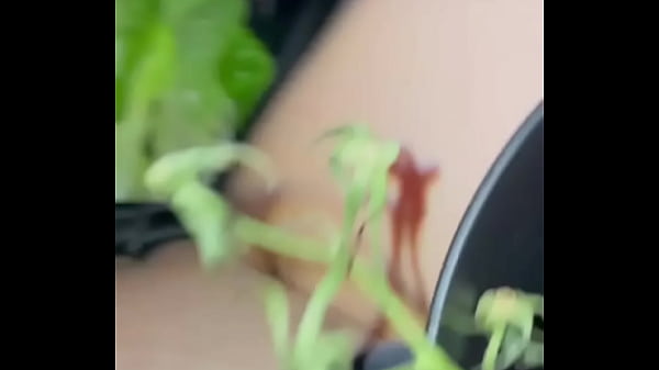 Image EXTREME HARDCORE FOOD FETISH-KINKY FEMALE MASTURBATION-SAUDI VIRGIN TEEN 18 YEAR-OLD-ARABIAN SNOWWHITE-IN LOS ANGELES-BEVERLY HILLS-UNITED STATES OF AMERICA 2025-LONG FULL ARAB VIDEO PORN-WEIRD&LUXURY