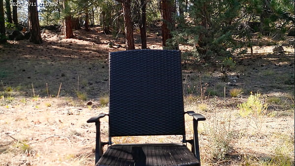 Image Simscristian05 - update #205 - PASS THE FLY REPELLENT - SHEER - Sep 18, 2025