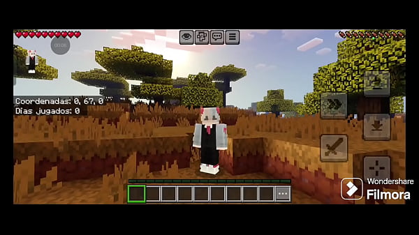 Image Minecraft survival bedrock (primeros dias)