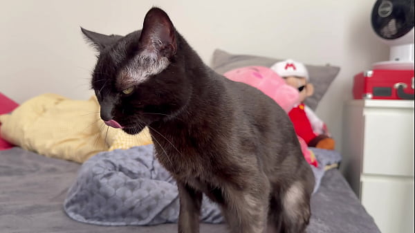 Image Pussy in 4K/120