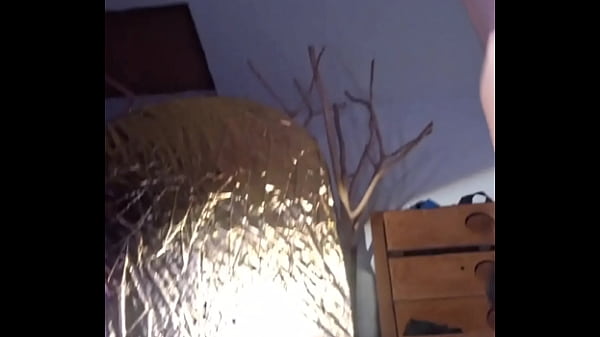 Image en lencer&iacute_a de arn&eacute_s