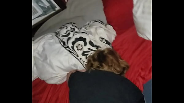 Image Milf creampied for quicky