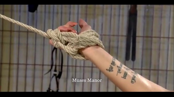 Image Muse Manor  Donjon Pour Violette
