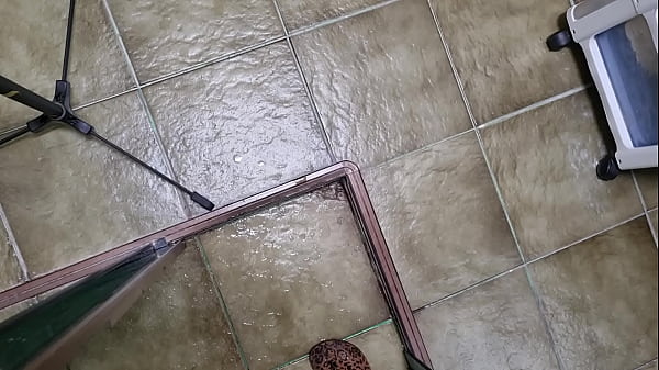 Image Peludo dando uma geral na mata