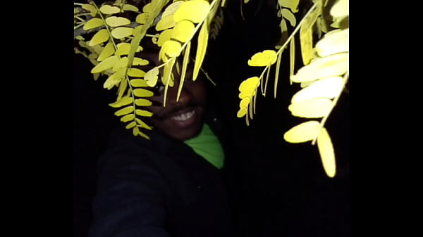 Image I'm a jolly good fellow while smiling with yellow trees