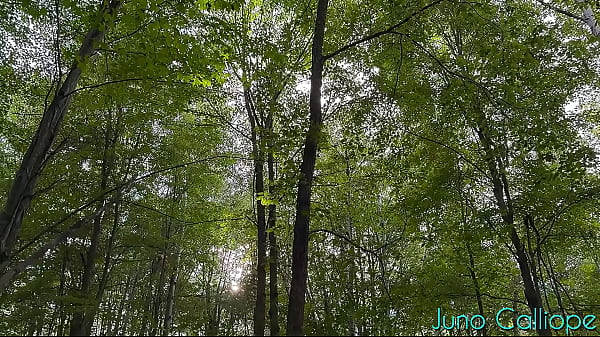 Image Spying on a hot girl masturbating in the woods