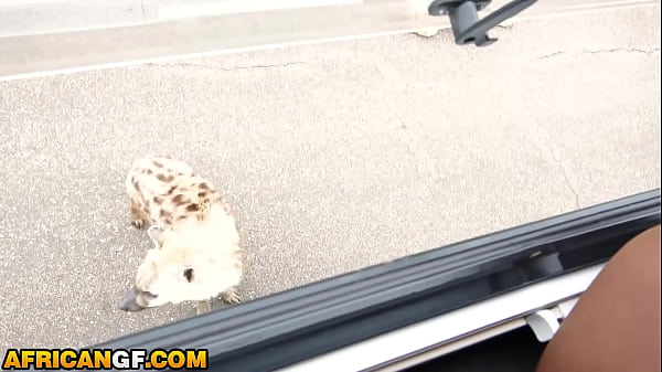 Image Bubble Butt Black Slut Rammed Rough By Big Cock American In Safari Trip
