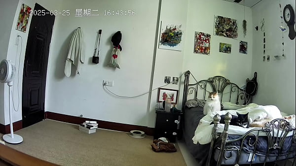 Image spring room