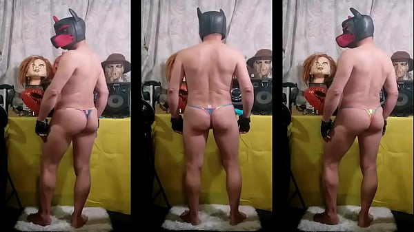 Image un perrito hambriento de verga y su ropa intima y sensual