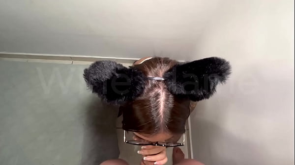 Image Gatinha assanhada gosta de engolir todo leite