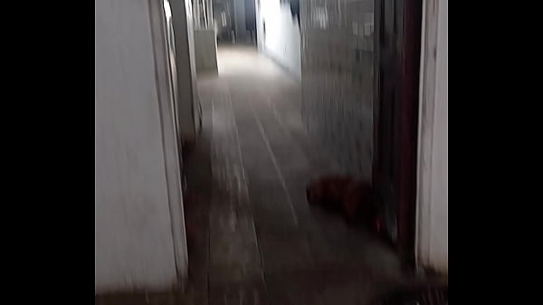 Image Casero, video de pareja amateur real
