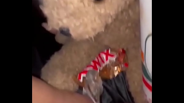 Image MUSLIM GIRL MASTURBATES WITH FOOD -KINKY PORN COMPILATION-LOS ANGELES USA-AMATEUR ARABIAN SNOWWHITE