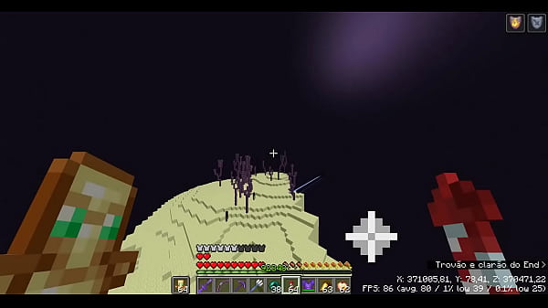 Image My current minecraft gameplay on my server.