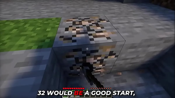Image Ultimate Beginner MINECRAFT Guide (5 steps)
