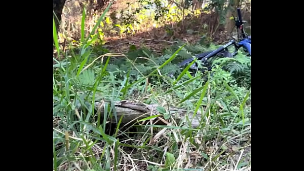 Image SEXO NA TRILHA COM O NOVINHO SAFADO
