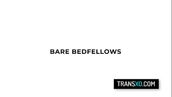 Image Bare Bedfellows - Eva Maxim