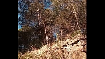 Image En el bosque
