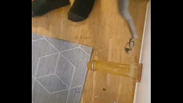 Image Nice doggy