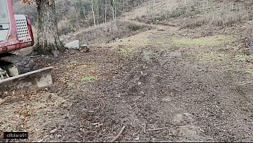 Image Lollolara91 - pompa nel bosco -