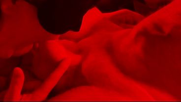 Image My wife's an expert-level cock sucker! Side view blow job: Red Light Videos #17