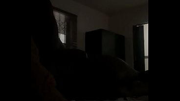Image Silhouette Art