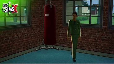 Image The Sims 2: Sex in the Jacuzzi