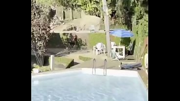 Image Brincadeira na piscina com parceiros
