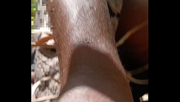 Image MY WIFE DESTROYED IN THE Bush PART 5