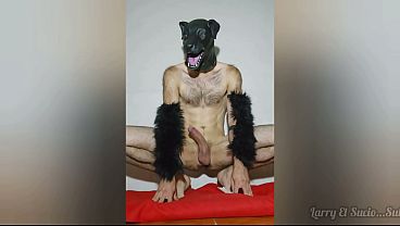 Image Therian Furro eyaculacion masiva