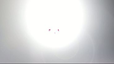 Image Dahlia Sky kneels and sucks Rico Strongs massive cock