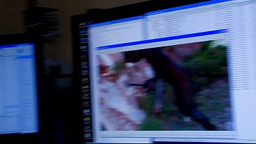 Image group sexparty
