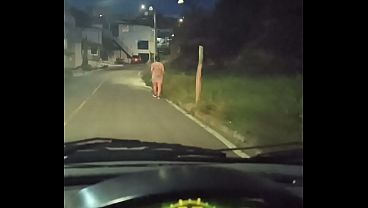 Image POV porno real callejero, recojo a linda latina en la calle y le puyo el culo