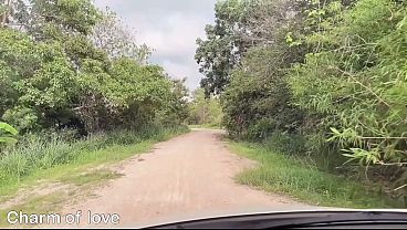 Image Having sex on the side of the road in the countryside.