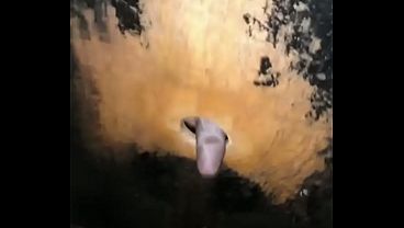 Image Gloryhole: Dando e mamando desconhecidos .