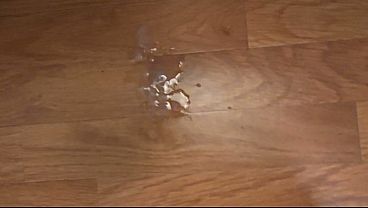 Image Playing With Vibrator and Cumming 2 (Plus Bonus Piss In Mouth)