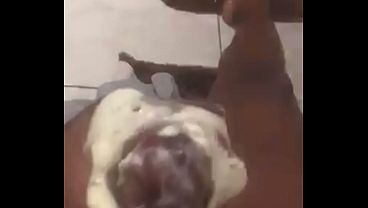 Image CUMPILATION
